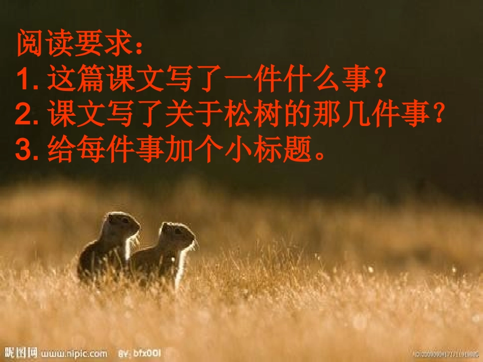 跑进家来的松鼠(2)_第3页