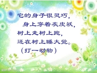 跑进家来的松鼠(2)