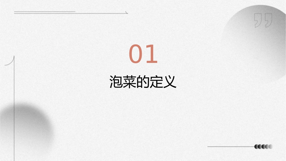 泡菜定义分类特点的探讨课件_第3页