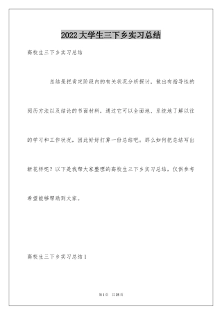 2024大学生三下乡实习总结