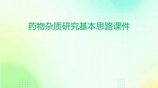 药物杂质研究基本思路课件