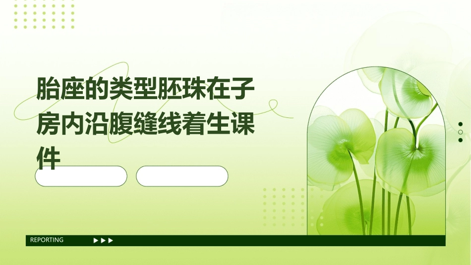 黄瓜梨苹果等胎座的类型胚珠在子房内沿腹缝线着生课件_第1页
