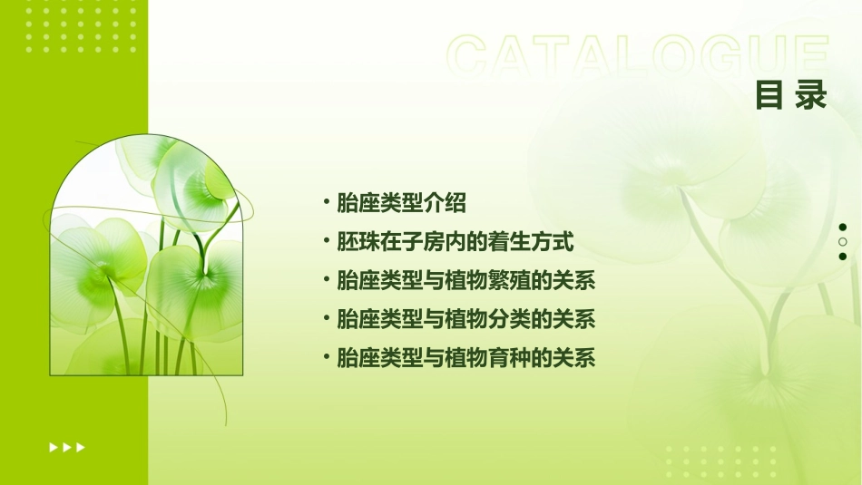 黄瓜梨苹果等胎座的类型胚珠在子房内沿腹缝线着生课件_第2页