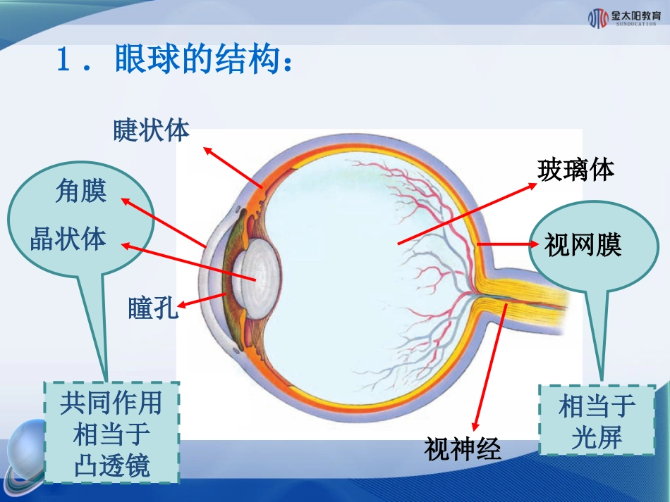 《眼睛和眼镜》课件1_第3页