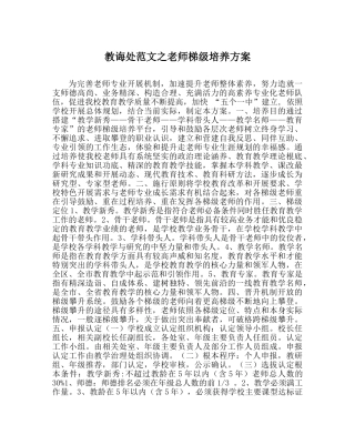教导处范文教师梯级培养方案 