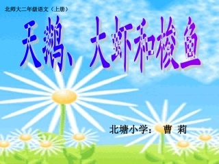 《天鹅、大虾和梭鱼》1PPT