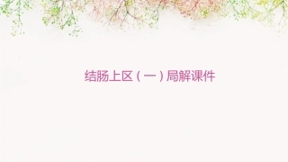 结肠上区(一)局解课件