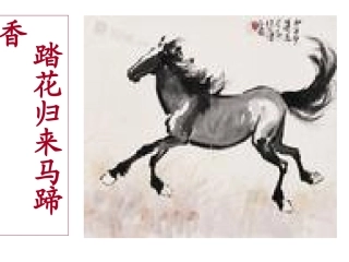 侧面描写作文指导