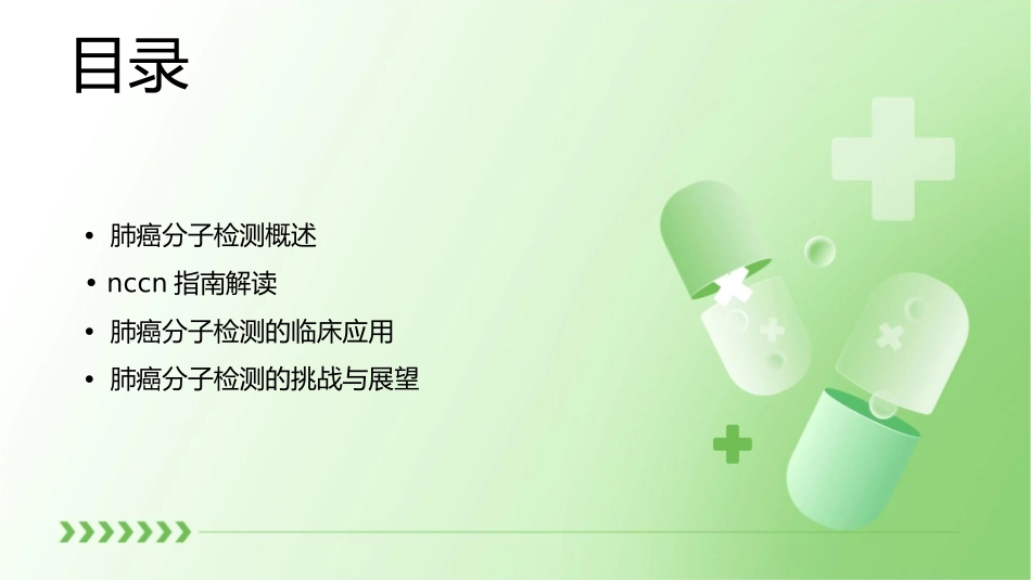 肺癌分子检测的指南解读及临床应用NCCN指南解读课件_第2页