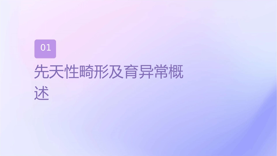 颅脑先天性畸形及发育异常影像学诊断课件_第3页