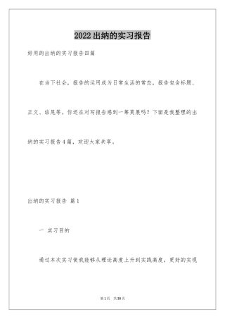 2024出纳的实习报告_44