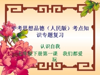 人民版思想品德中考总复习课件