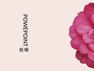 唯美系列模板