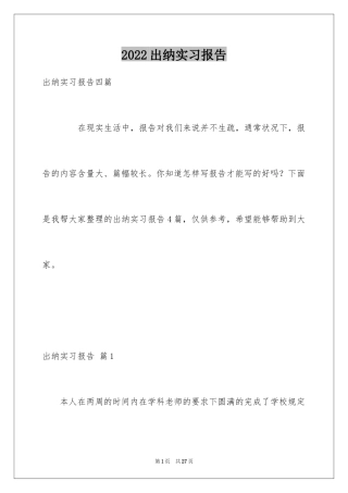 2024出纳实习报告_30