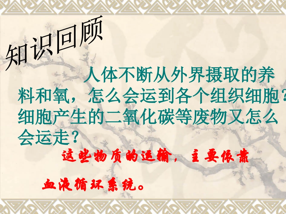 _流动的组织—血液》_第1页