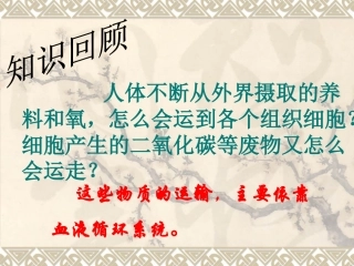 _流动的组织—血液》