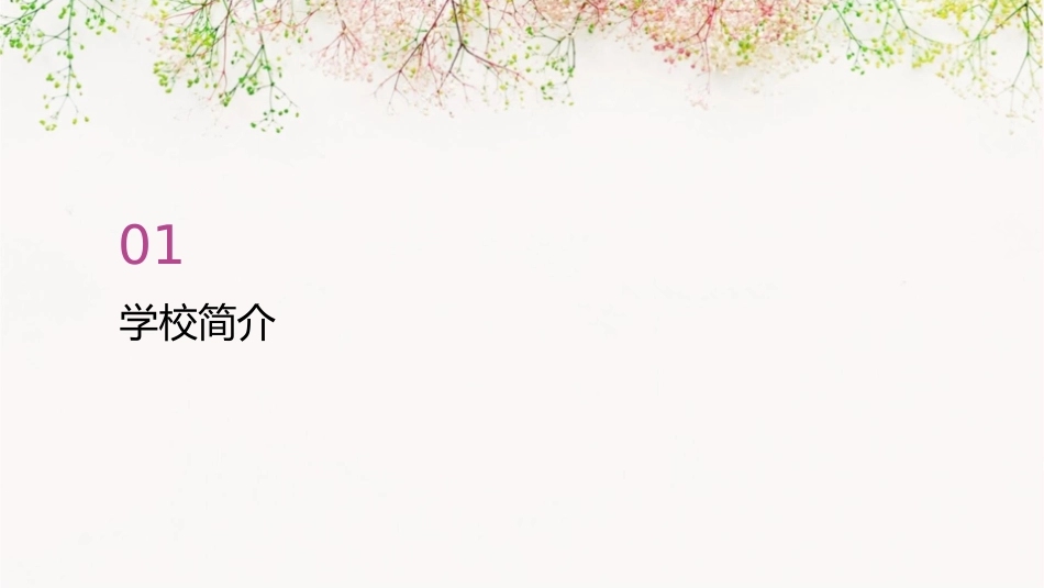 说说我们的学校课件_第3页