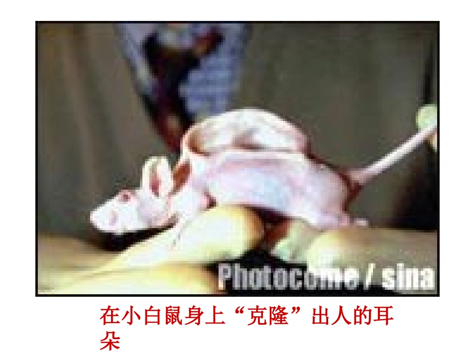 奇妙的克隆 (2)_第3页