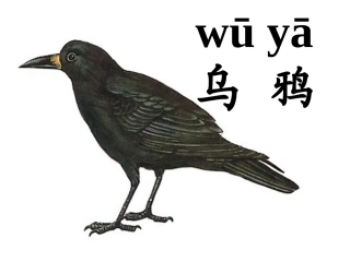 乌鸦喝水课件