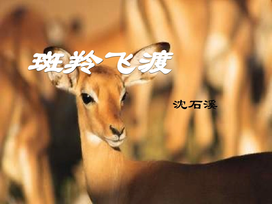 斑羚飞渡课件 (2)_第3页