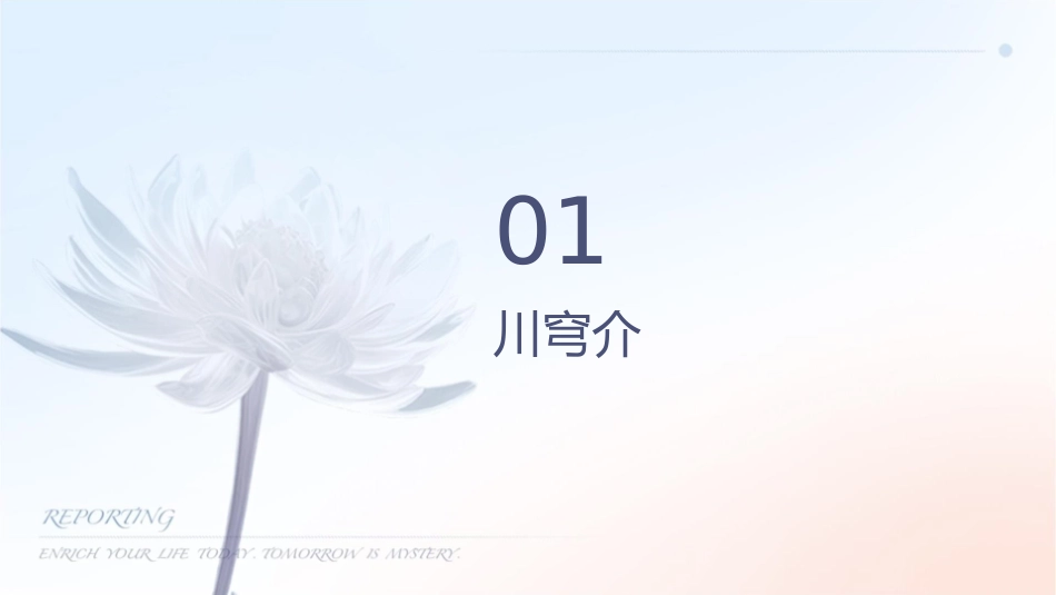 方剂学 川穹护理课件_第3页