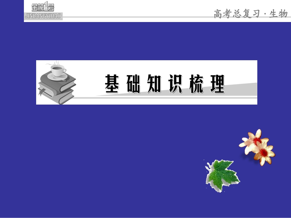 2015届高三一轮复习课件：基因和染色体的关系_第3页