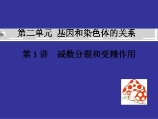2015届高三一轮复习课件：基因和染色体的关系