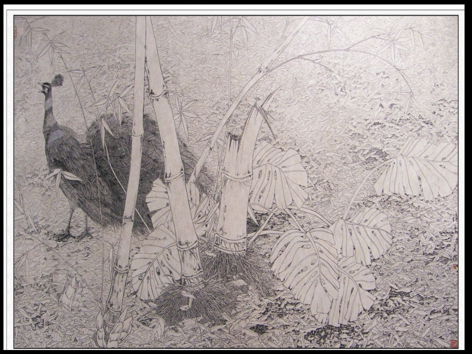 线描画中的黑白对比_第3页