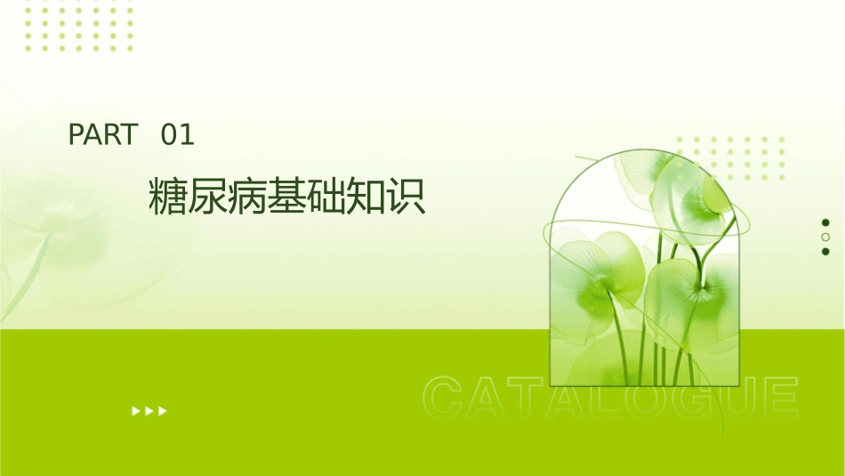 糖尿病护理课件_第3页