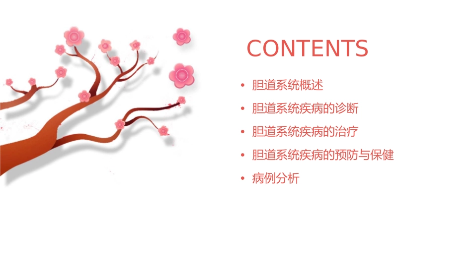 胆道系统疾病专业培训课程课件_第2页