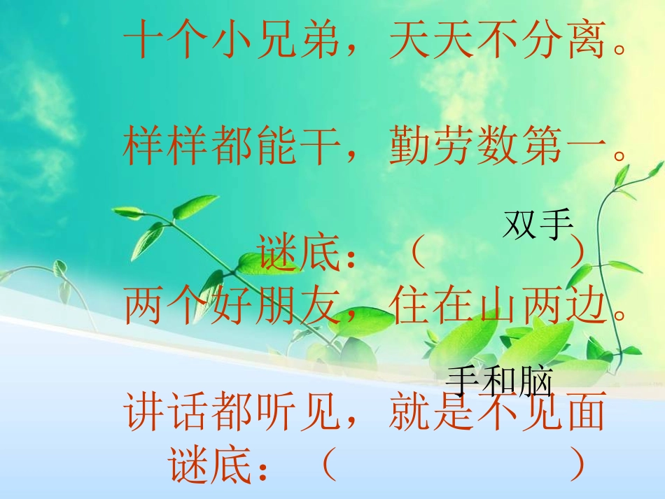 《手和脑的故事》课件_第1页