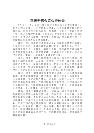 三级干部会议心得体会