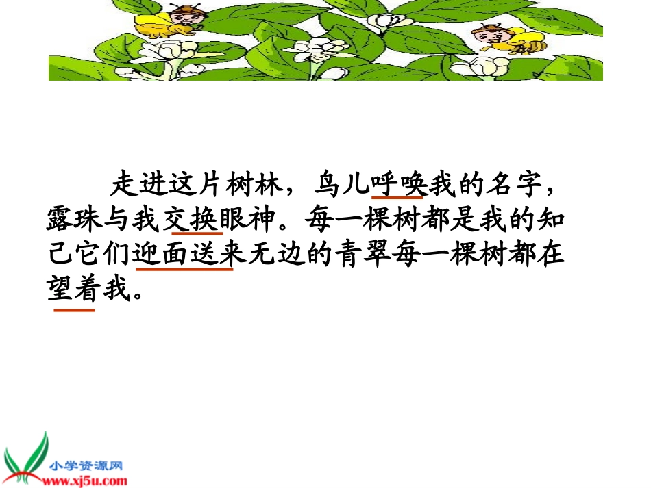 新课标人教版六年级语文上册《山中访友》教学演示课件_第3页