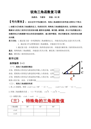 锐角三角函数教学案
