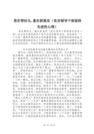 贵在带好头,重在抓落实（党员领导干部保持先进性心得）