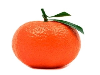 《家乡的红橘》