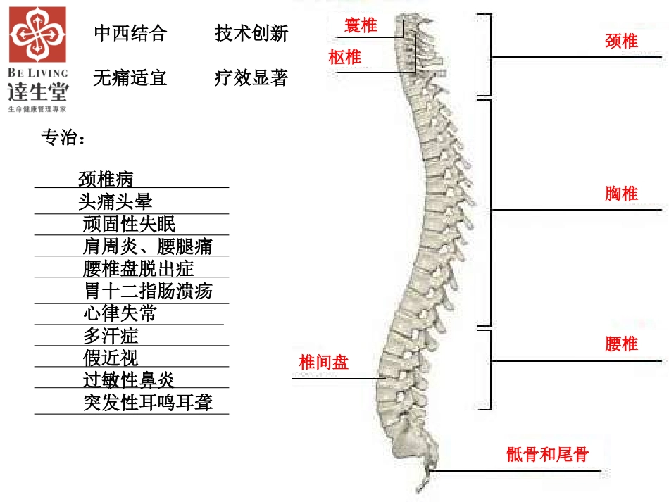龙氏脊椎正骨_第2页