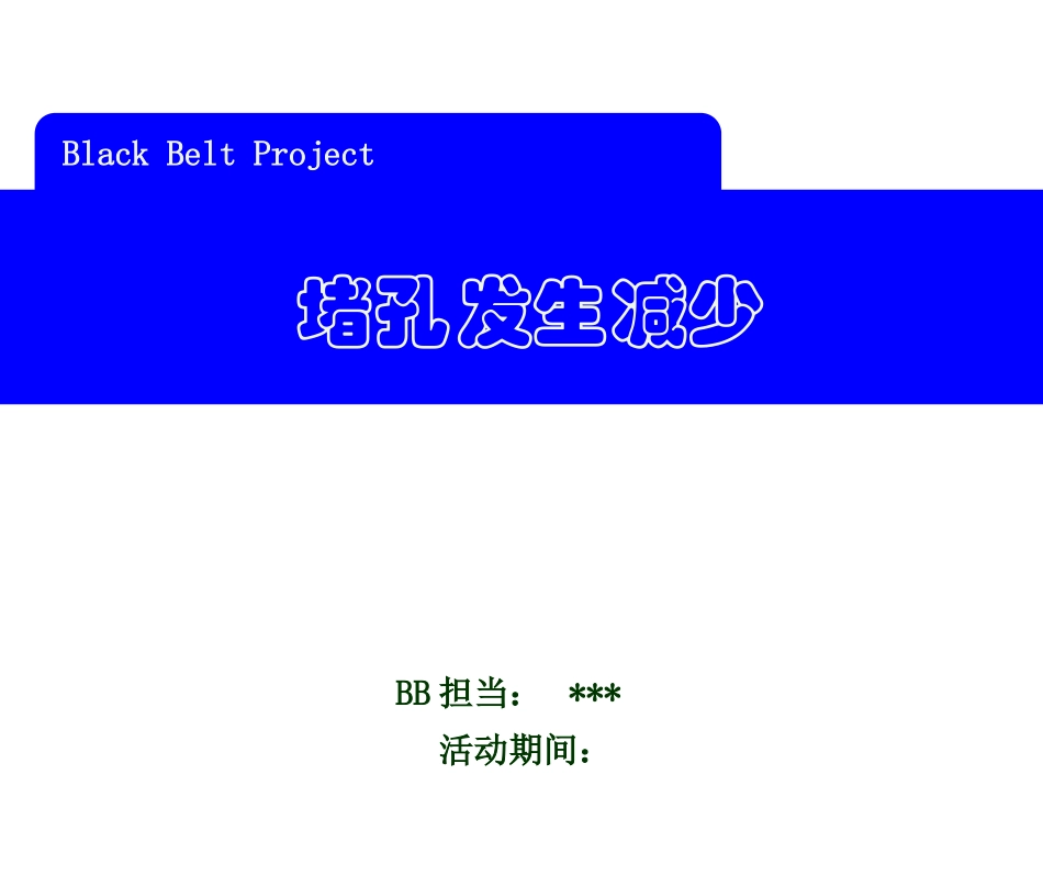 黑带项目课题参考_第1页