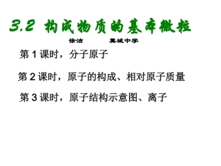 构成物质的基本微粒(1)