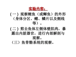 鲤鱼的观察内容