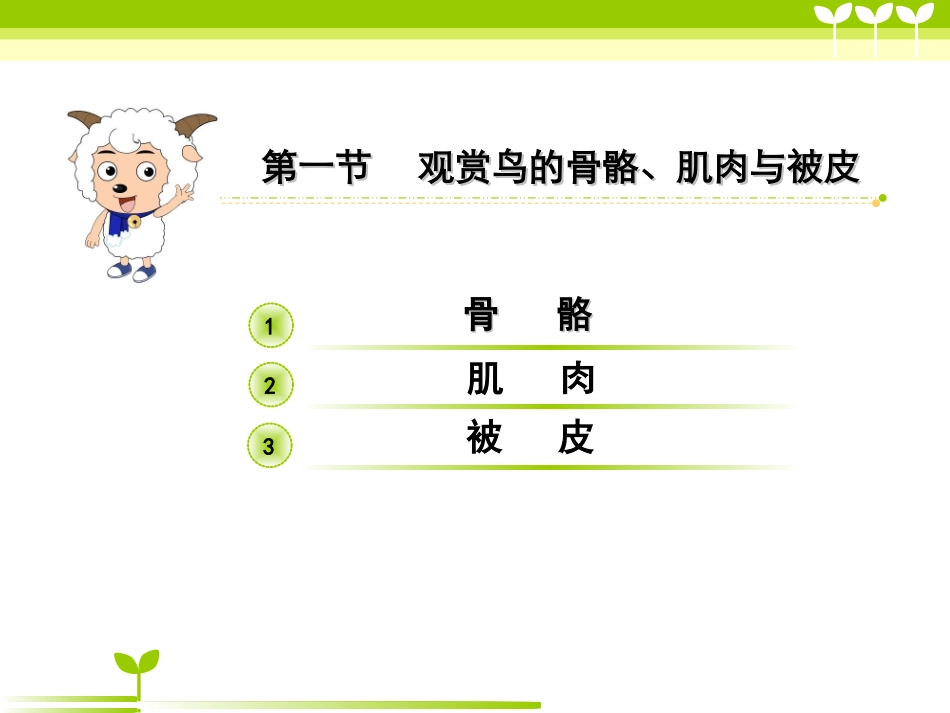 鸟的解剖生理(喜羊羊版)_第2页