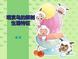 鸟的解剖生理(喜羊羊版)