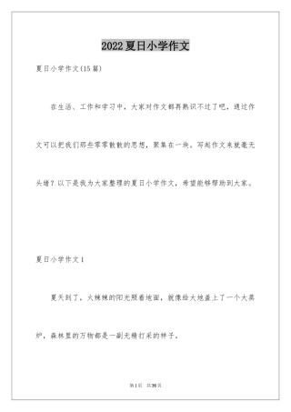2024夏日小学作文