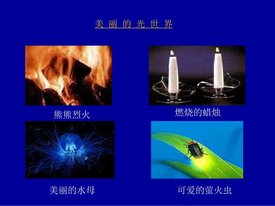 沪科版《41光的传播》课件_第2页