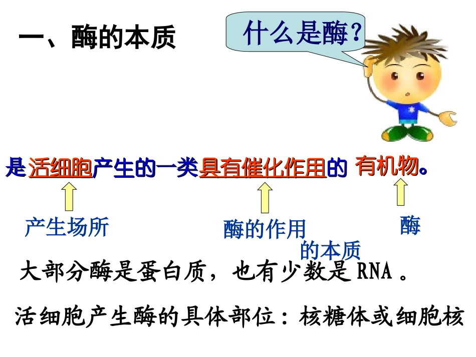 高考生物第一轮复习 酶_第2页