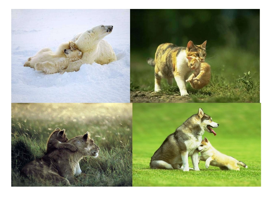 DNA是主要的遗传物质_第2页