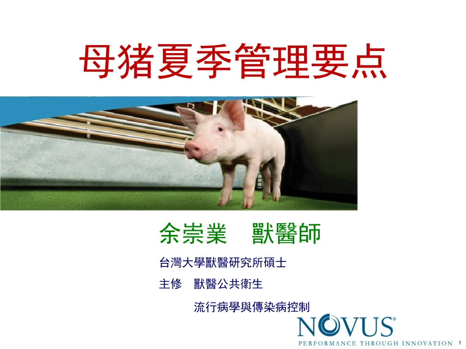 高应激期间的营养管理对策_第1页