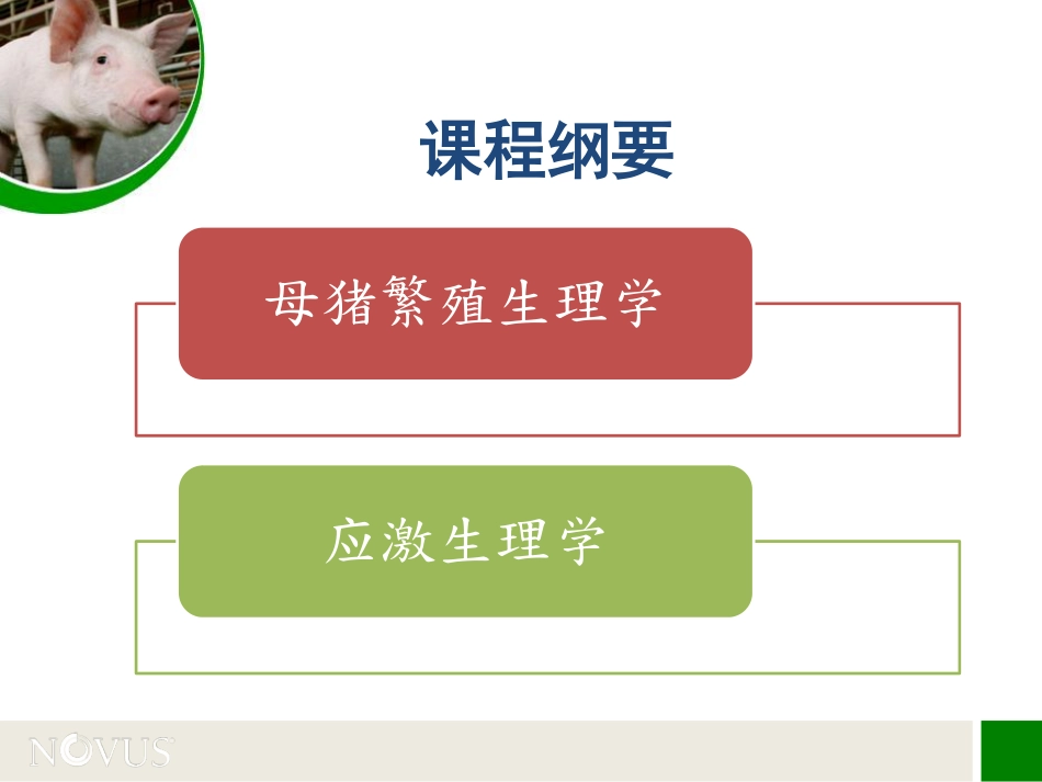 高应激期间的营养管理对策_第3页