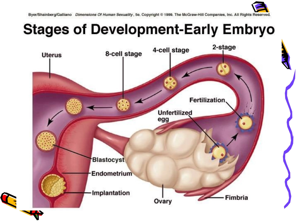 高危孕产妇的管理和救治_第3页