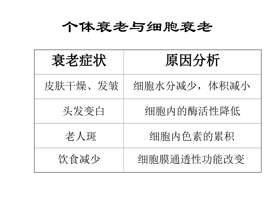 高中生物课件6.3 细胞衰老、凋亡、癌变课件2_第2页